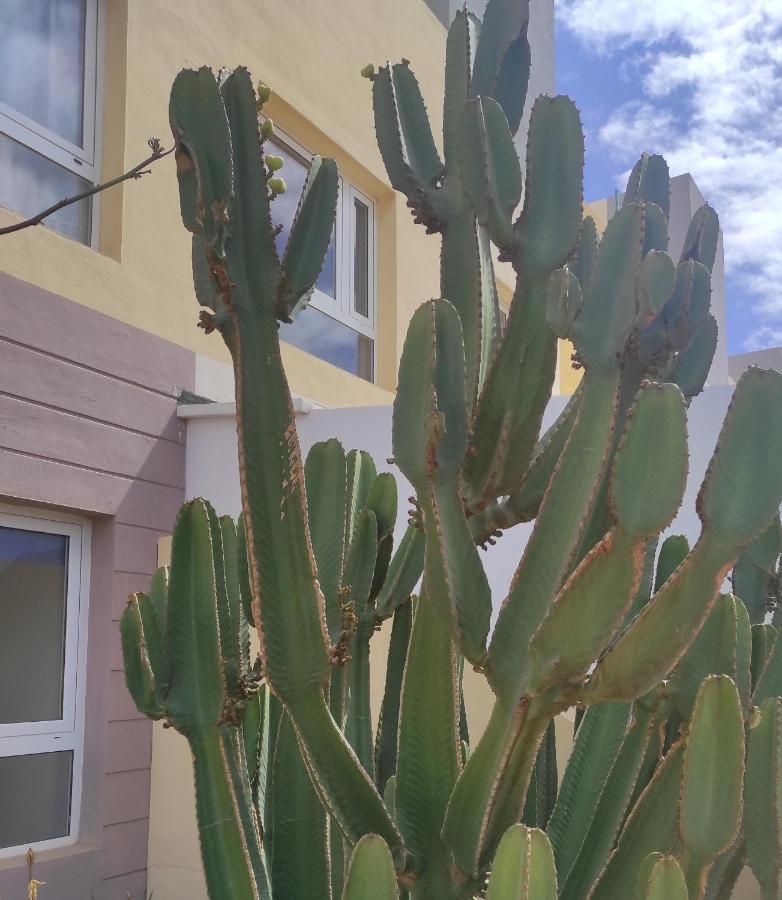 Апартаменти Apartamento Con Azotea Privada #Thefunnycactus Пуерто-дель-Росаріо Екстер'єр фото